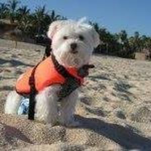 Meet your Posher, Charlene